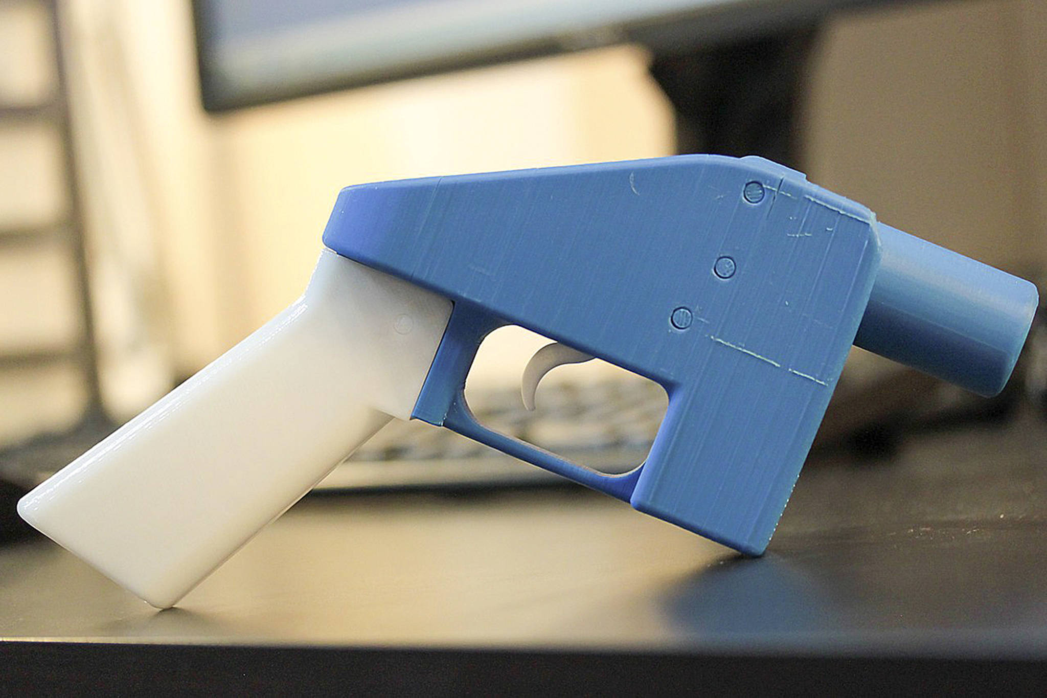 3dPrintedGun